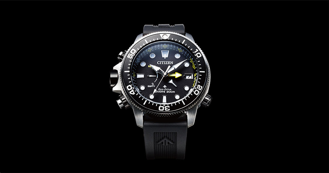 PROMASTER